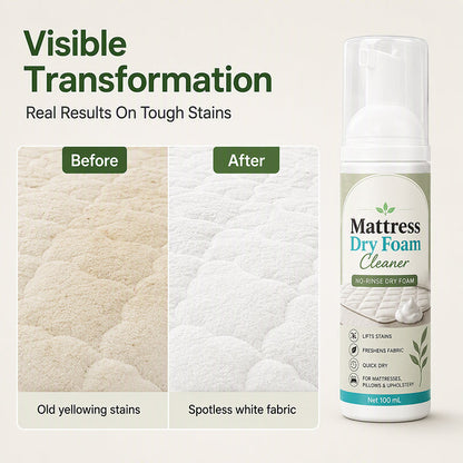🔥LAST DAY 50% OFF ✨No-Rinse Mattress & Upholstery Foam Cleaner