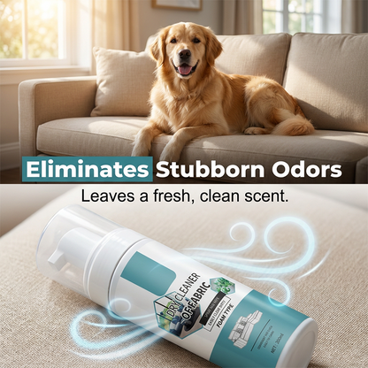 🔥LAST DAY 50% OFF ✨ No-Rinse Fabric Cleaner Foam